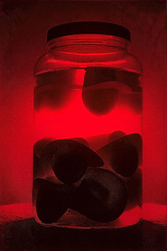 Pickled Cowboys - Aurora Landin